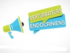 Perturbateurs endocriniens