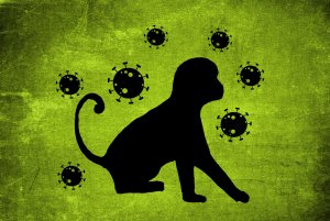 monkey-pox_variole-singe